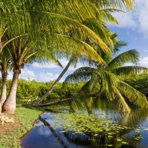 Queen Elizabeth II Botanic Park