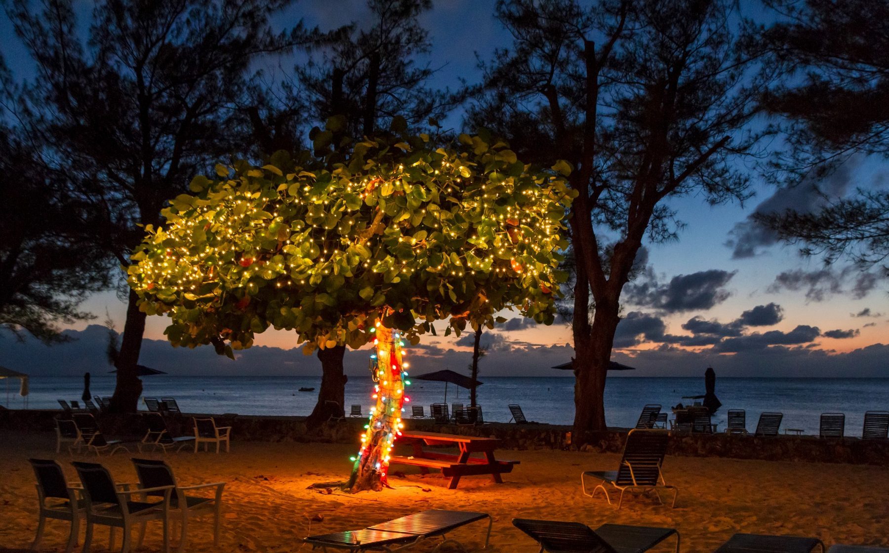 How to Spend the Holidays in the Cayman Islands & Have the Best Cayman
