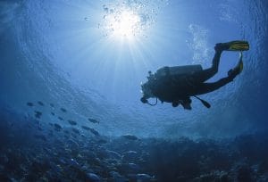 diving at the Eden Rock Dive Center