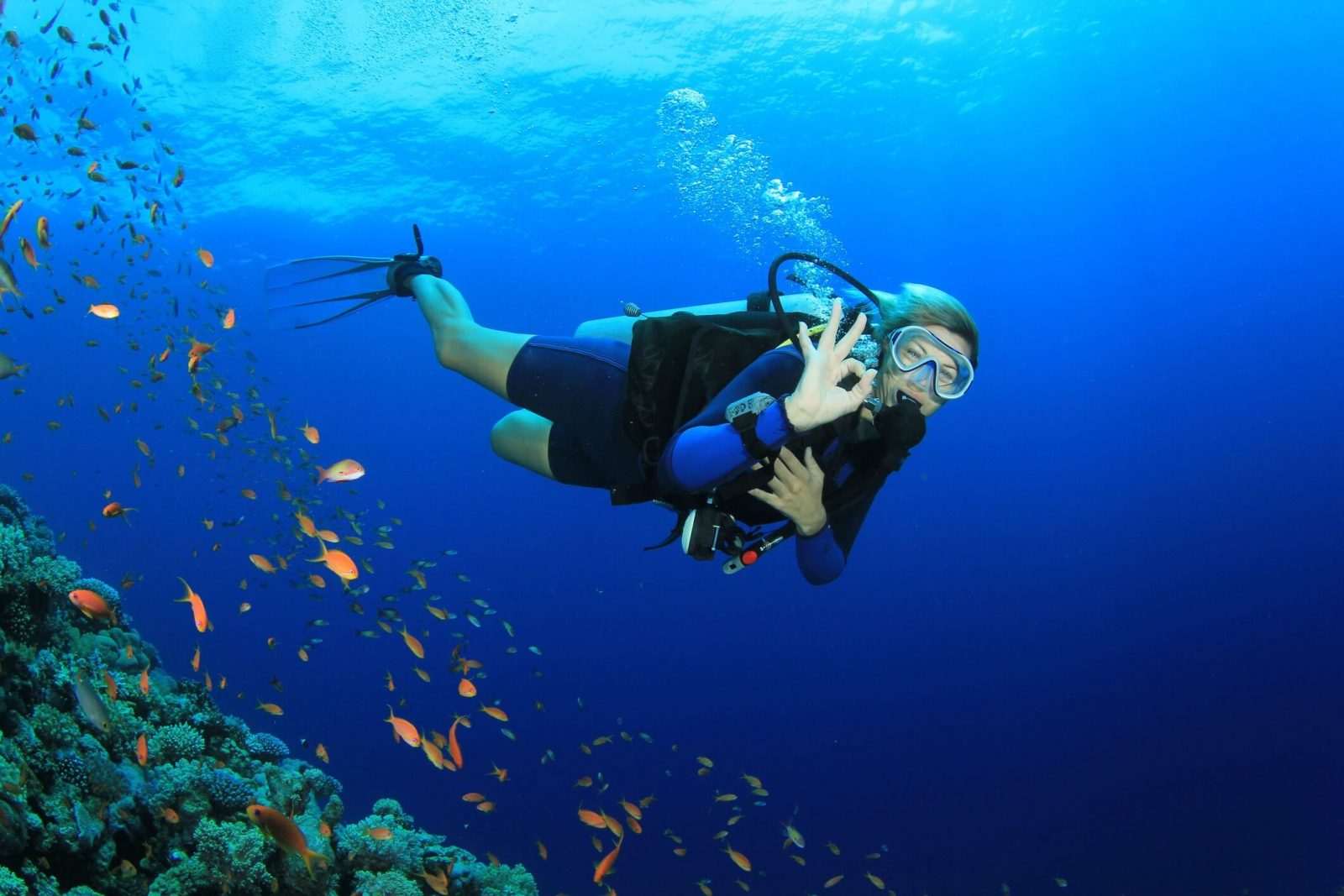 Cayman Brac Diving