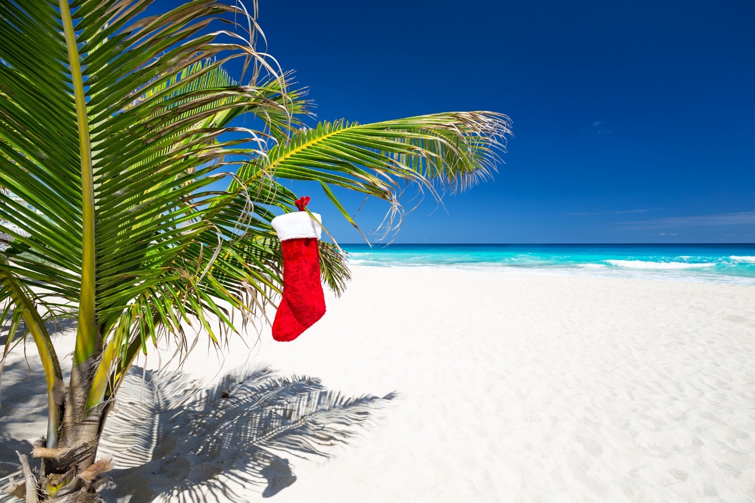 beach christmas stocking