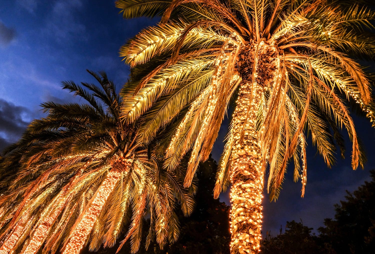 Why Grand Cayman Is Perfect to Visit in December