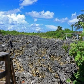 Why You Need to Visit Hell in Grand Cayman
