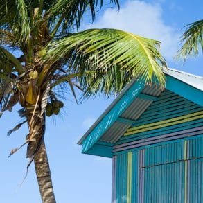 Things to Do in George Town in Grand Cayman