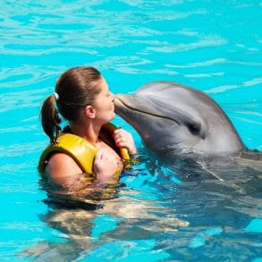 swim with dolphins in Grand Cayman