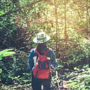 Mastic Trail in Grand Cayman