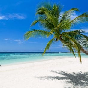 Fun Things to Do in Grand Cayman