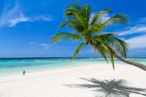 Fun Things to Do in Grand Cayman