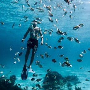 grand cayman snorkeling