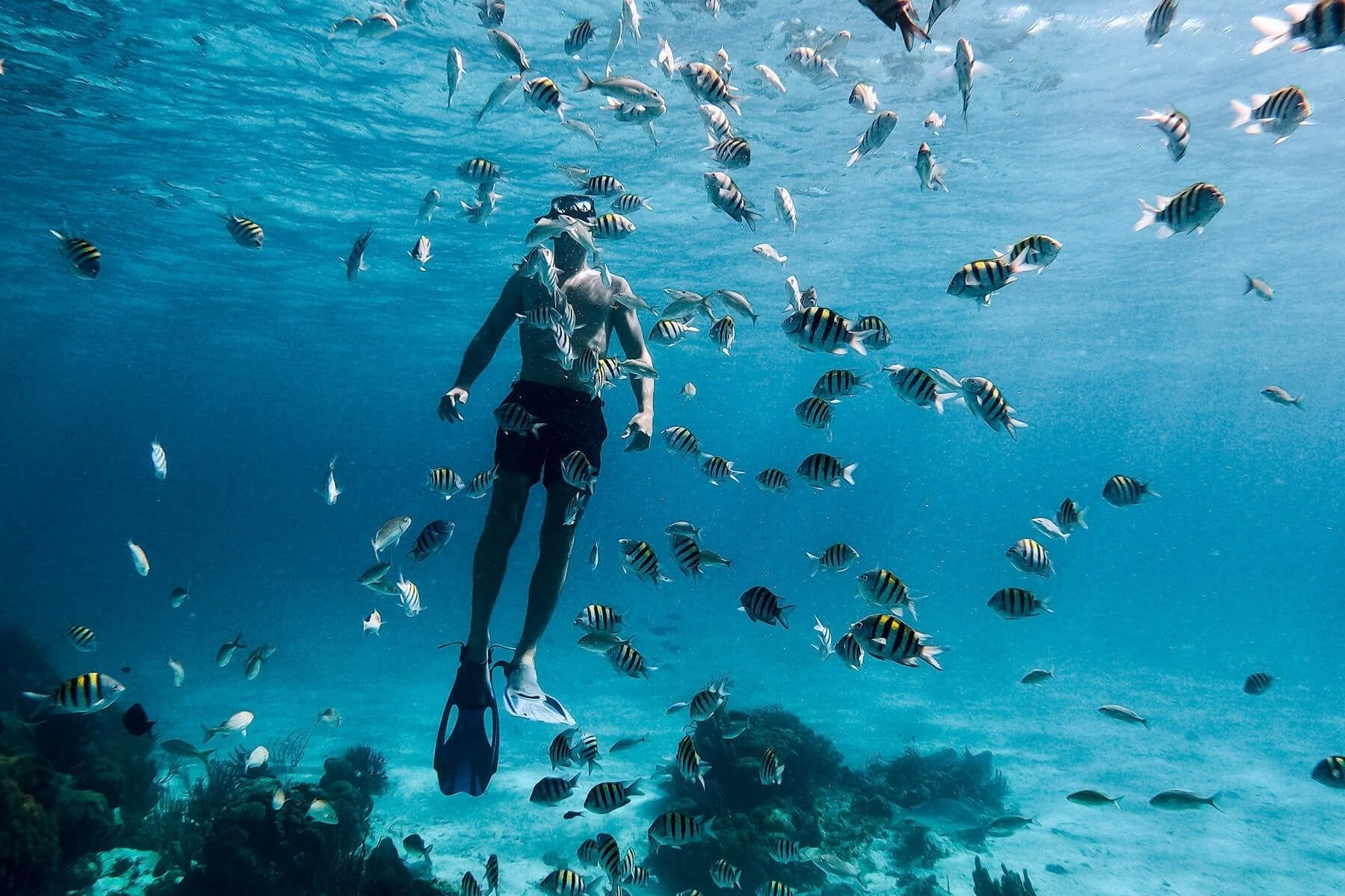 grand cayman snorkeling