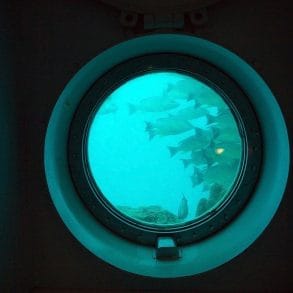 underwater view from Nautilus Submarine