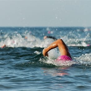 people swimming in the Flowers Sea Swim