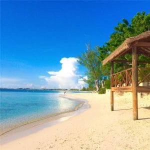 Grand Cayman Beach with trees and hut