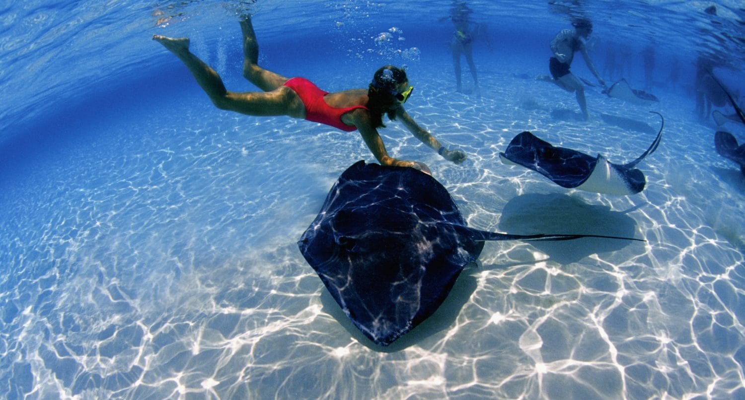 stingray city grand cayman woman swimming underwater with stingrays