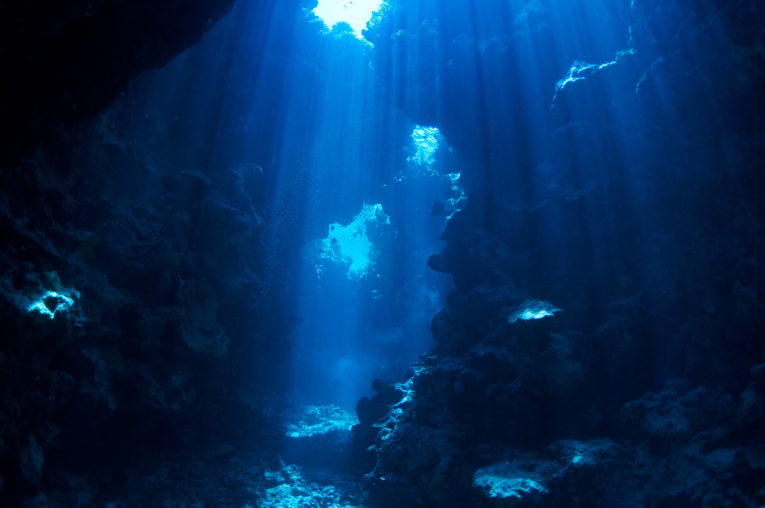underwater landscape. cave in the coral reef lit sun rays.