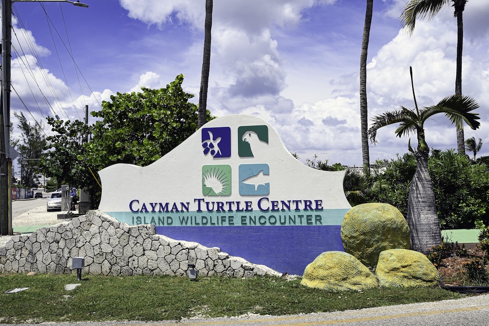  Sign at the entrance of the Cayman Turtle Centre and Island Wildlife Encounter.