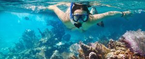 Woman Coral Reef Snorkeling