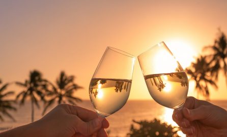 wine glasses with tropical sunset
