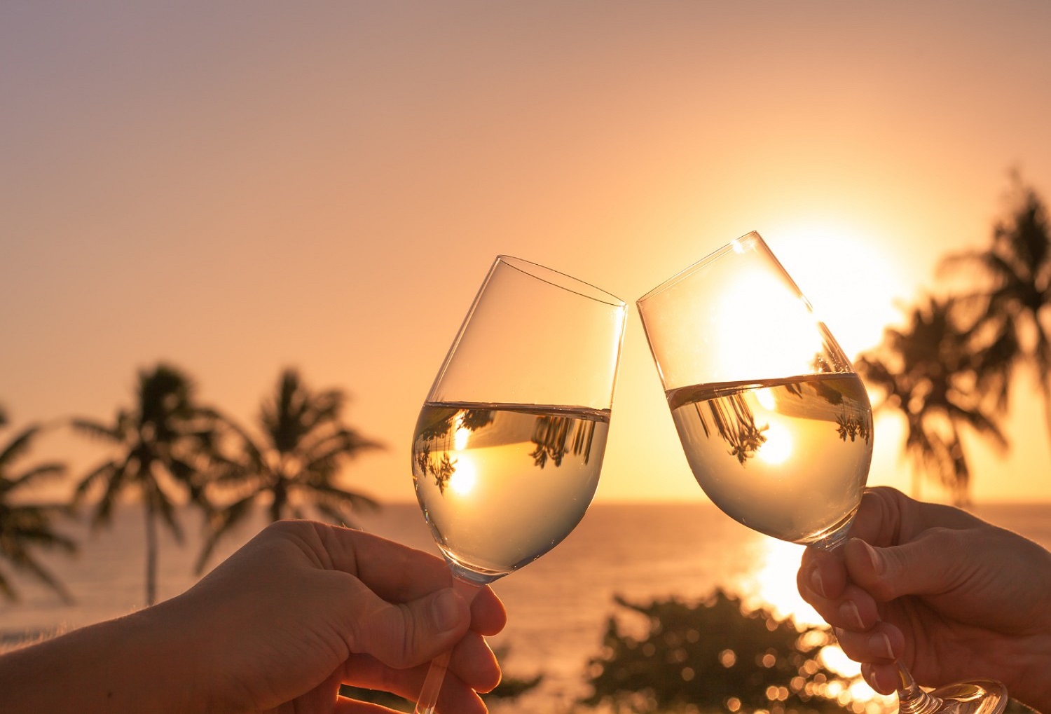 wine glasses with tropical sunset