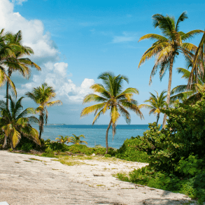 grand cayman nature parks and reserve