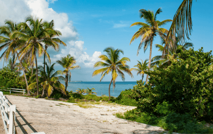 grand cayman nature parks and reserve