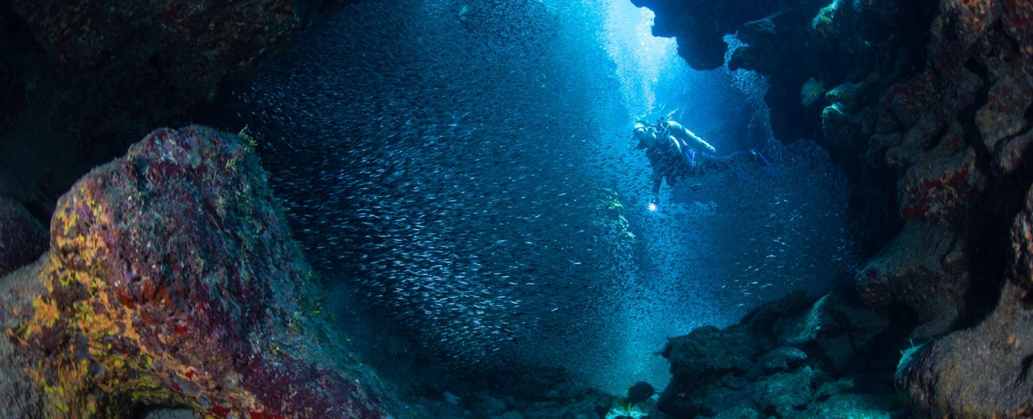 Scuba Diver in Undewater Cavern