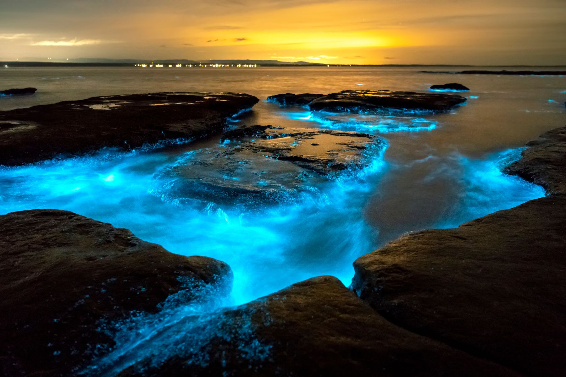 Bioluminescent bay on grand cayman
