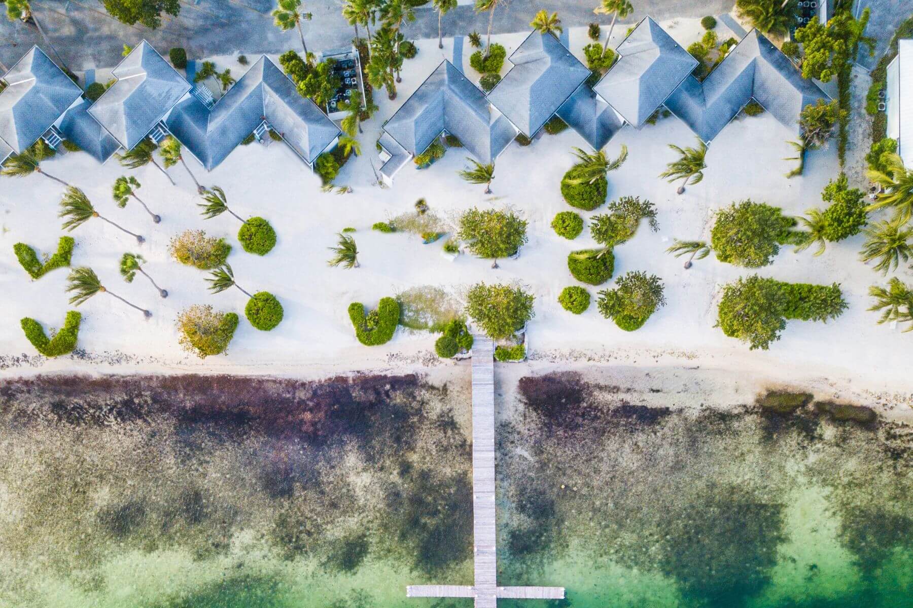 artistic aerial view of grand cayman beach with trees, dock, and tops of structures