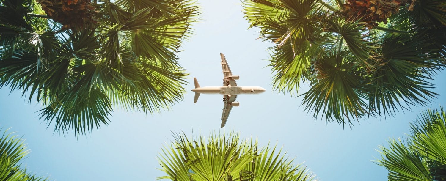 Plane flying over palm trees from Los Angles to Grand Cayman