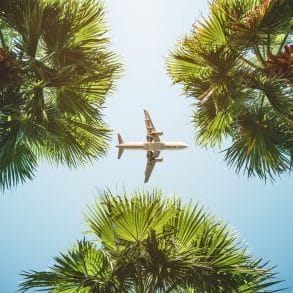 Plane flying over palm trees from Los Angles to Grand Cayman