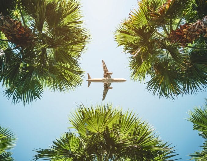 Plane flying over palm trees from Los Angles to Grand Cayman