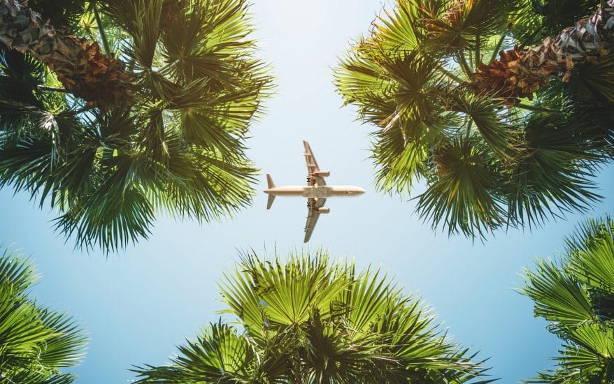 Plane flying over palm trees from Los Angles to Grand Cayman
